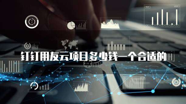 钉钉用友云项目多少钱一个合适的