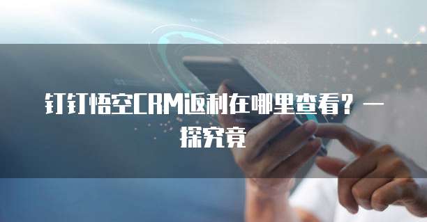 钉钉悟空CRM返利在哪里查看?一探究竟