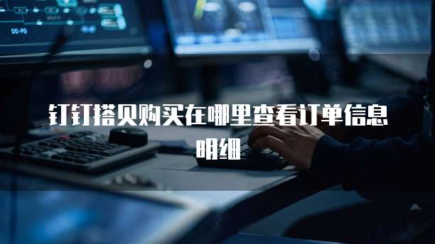 钉钉搭贝购买在哪里查看订单信息明细