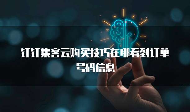 钉钉集客云购买技巧在哪看到订单号码信息