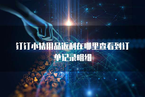 钉钉小猪用品返利在哪里查看到订单记录明细