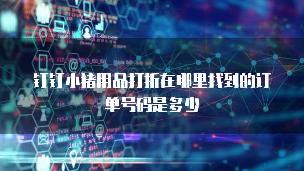 钉钉小猪用品打折在哪里找到的订单号码是多少