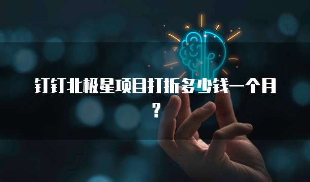 钉钉北极星项目打折多少钱一个月?