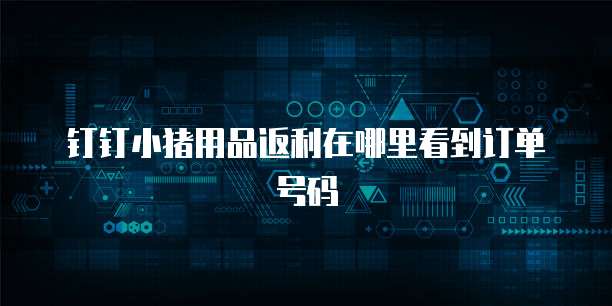 钉钉小猪用品返利在哪里看到订单号码