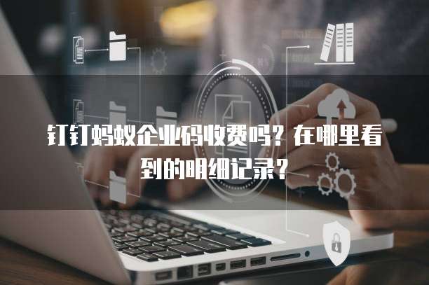 钉钉蚂蚁企业码收费吗?在哪里看到的明细记录?