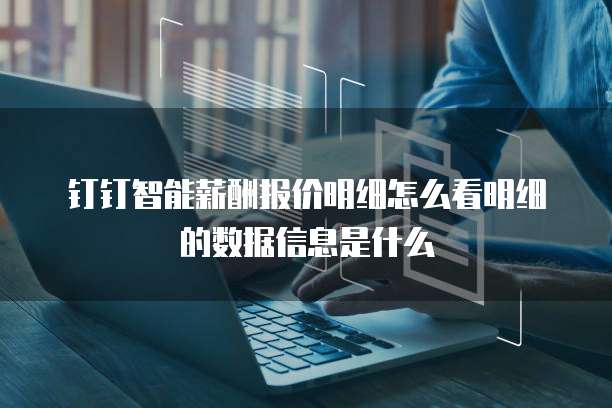 钉钉智能薪酬报价明细怎么看明细的数据信息是什么