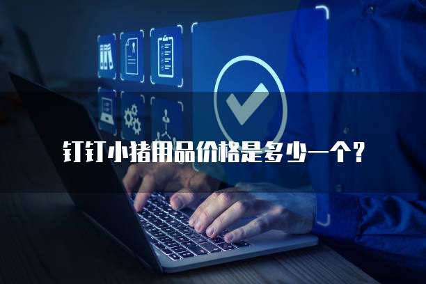 钉钉小猪用品价格是多少一个?