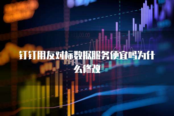 钉钉用友对标数据服务便宜吗为什么修改