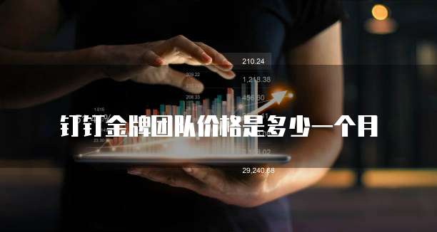 钉钉金牌团队价格是多少一个月