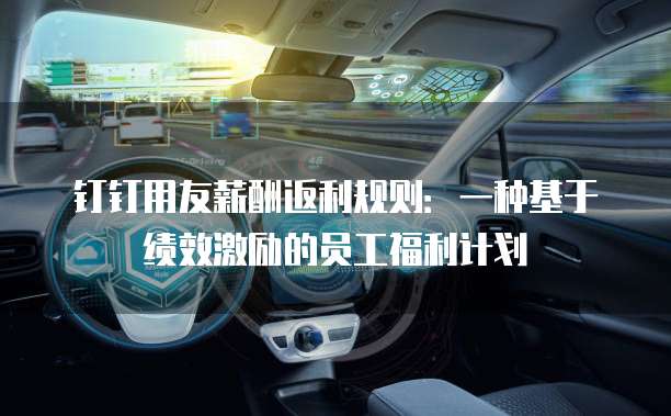 钉钉用友薪酬返利规则:一种基于绩效激励的员工福利计划