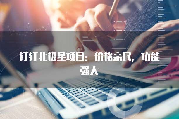 钉钉北极星项目:价格亲民,功能强大