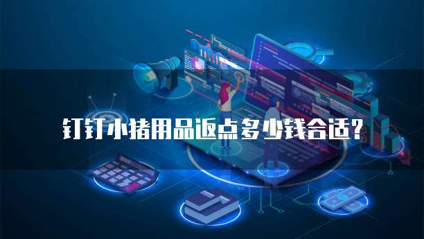 钉钉小猪用品返点多少钱合适?
