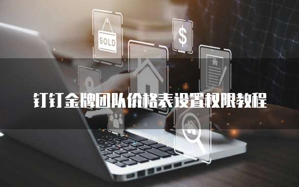 钉钉金牌团队价格表设置权限教程