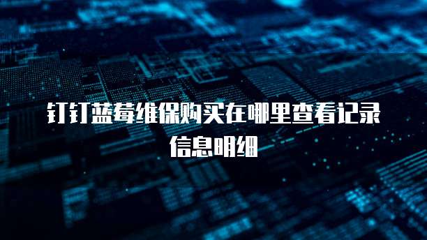 钉钉蓝莓维保购买在哪里查看记录信息明细