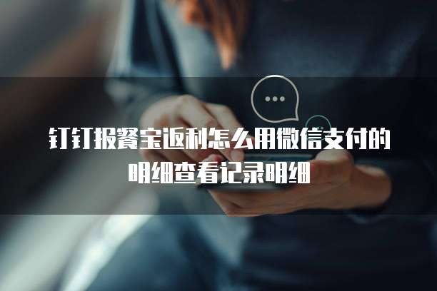 钉钉报餐宝返利怎么用微信支付的明细查看记录明细