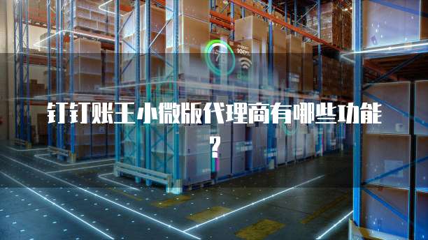钉钉账王小微版代理商有哪些功能?