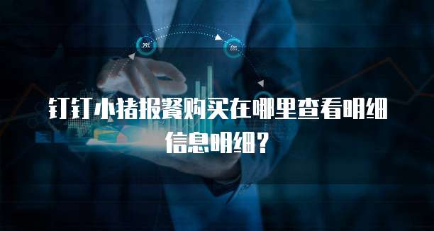 钉钉小猪报餐购买在哪里查看明细信息明细？