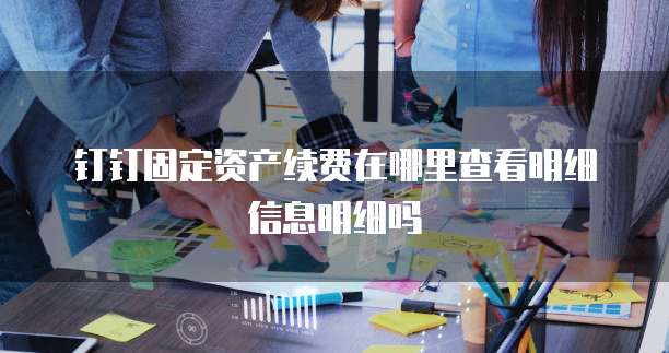 钉钉固定资产续费在哪里查看明细信息明细吗