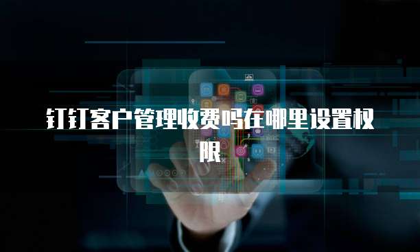 钉钉客户管理收费吗在哪里设置权限