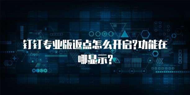 钉钉专业版返点怎么开启?功能在哪显示?