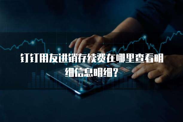 钉钉用友进销存续费在哪里查看明细信息明细?
