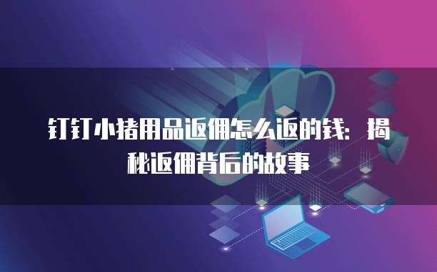 钉钉小猪用品返佣怎么返的钱:揭秘返佣背后的故事