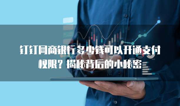 钉钉网商银行多少钱可以开通支付权限?揭秘背后的小秘密