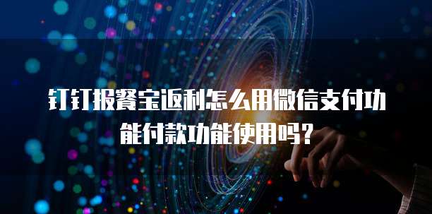 钉钉报餐宝返利怎么用微信支付功能付款功能使用吗?