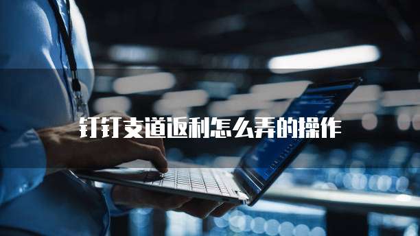 钉钉支道返利怎么弄的操作