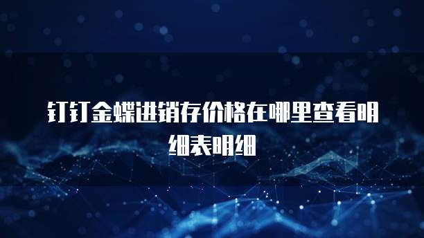 钉钉金蝶进销存价格在哪里查看明细表明细