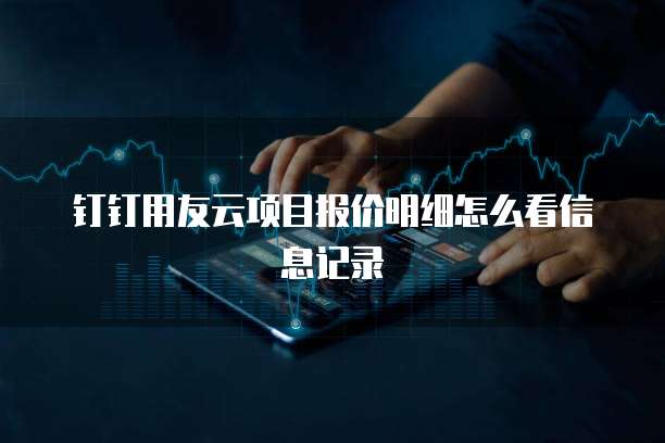 钉钉用友云项目报价明细怎么看信息记录