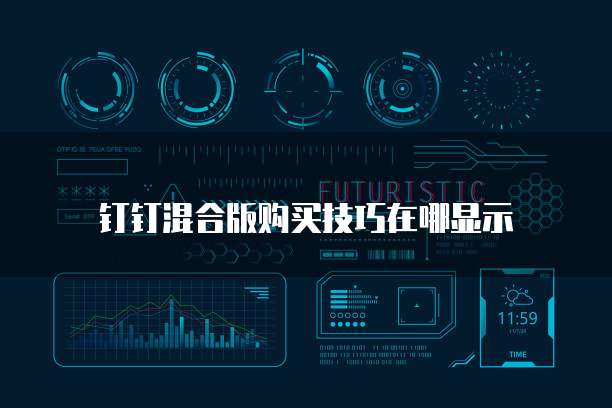钉钉混合版购买技巧在哪显示