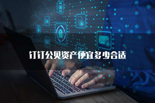 钉钉公贝资产便宜多少合适