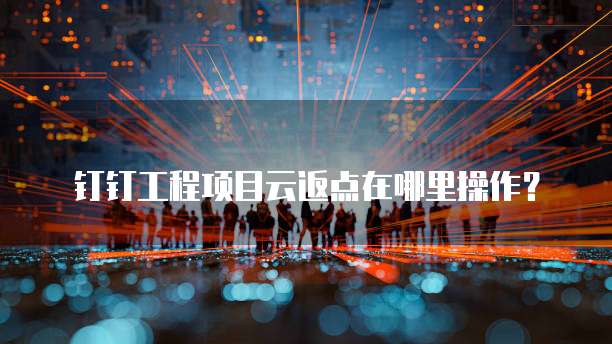 钉钉工程项目云返点在哪里操作?