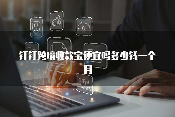 钉钉跨境收款宝便宜吗多少钱一个月