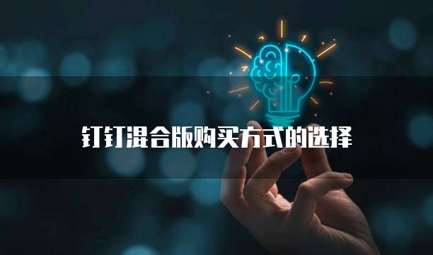 钉钉混合版购买方式的选择