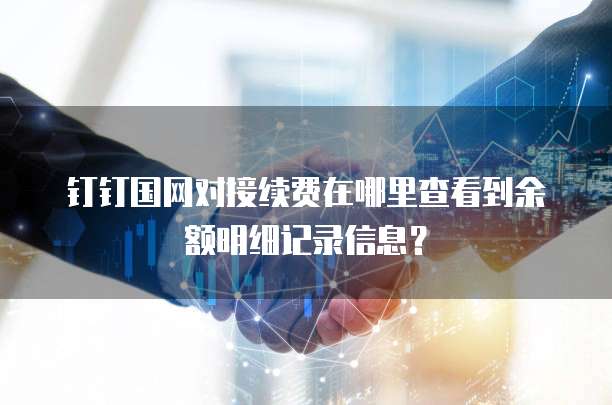 钉钉国网对接续费在哪里查看到余额明细记录信息?