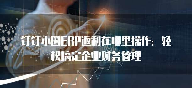 钉钉小圈ERP返利在哪里操作:轻松搞定企业财务管理