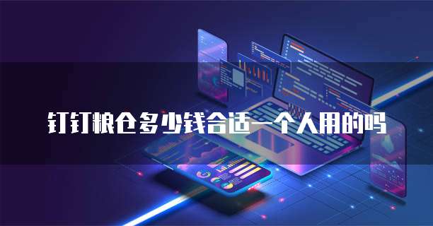 钉钉粮仓多少钱合适一个人用的吗