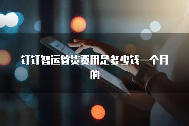 钉钉智运管货费用是多少钱一个月的