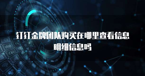 钉钉金牌团队购买在哪里查看信息明细信息吗