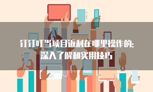 钉钉叮当项目返利在哪里操作的: 深入了解和实用技巧