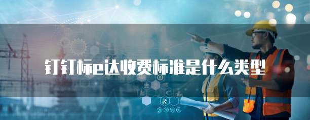 钉钉标e达收费标准是什么类型