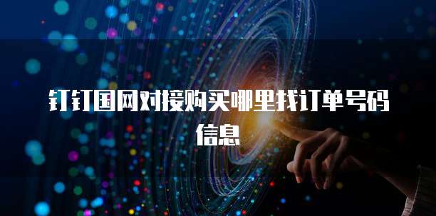 钉钉国网对接购买哪里找订单号码信息