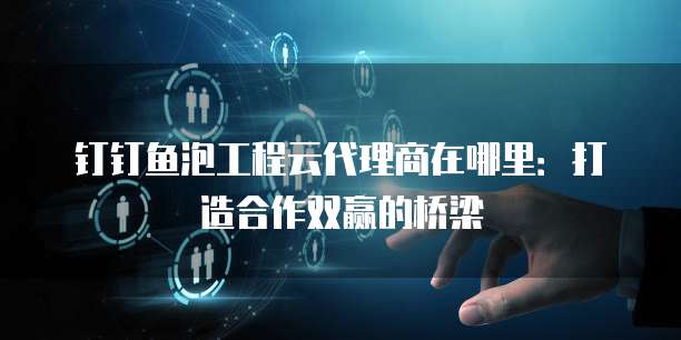 钉钉鱼泡工程云代理商在哪里：打造合作双赢的桥梁