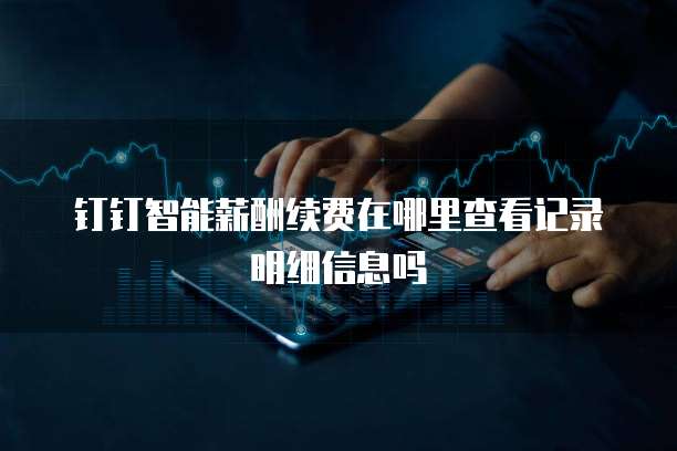 钉钉智能薪酬续费在哪里查看记录明细信息吗