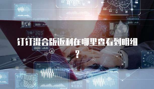 钉钉混合版返利在哪里查看到明细?