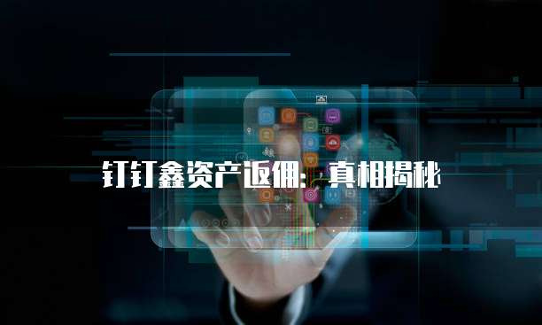 钉钉鑫资产返佣:真相揭秘