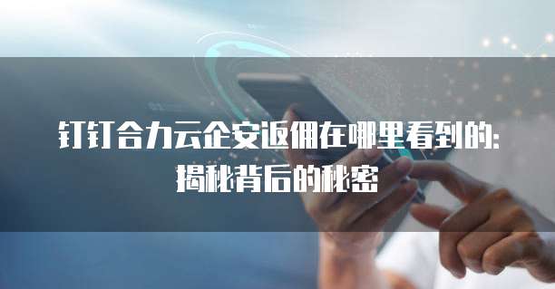 钉钉合力云企安返佣在哪里看到的:揭秘背后的秘密