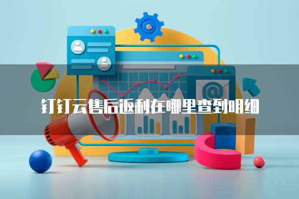 钉钉云售后返利在哪里查到明细